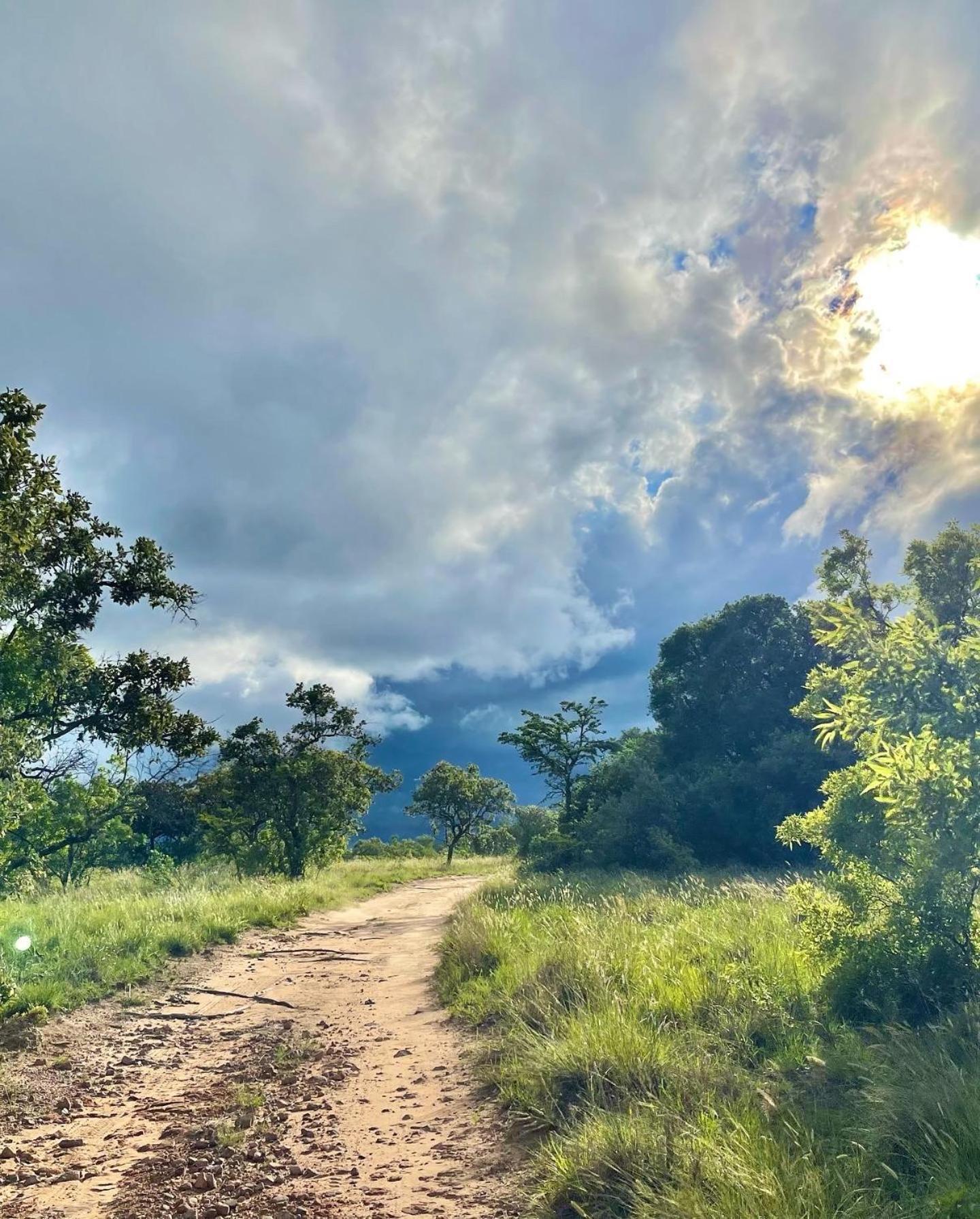 Summerplace Game Reserve 法尔瓦特 外观 照片